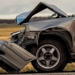 Collision Avec Un Animal Sauvage